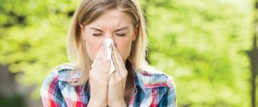 allergologia